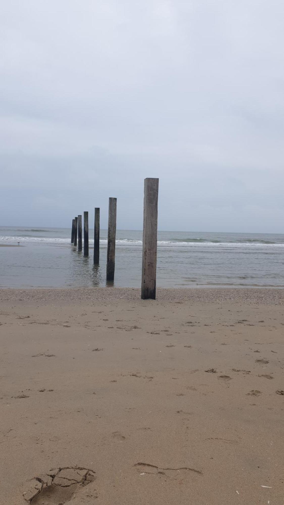 Rembrandts Beach View ザントフォールト エクステリア 写真