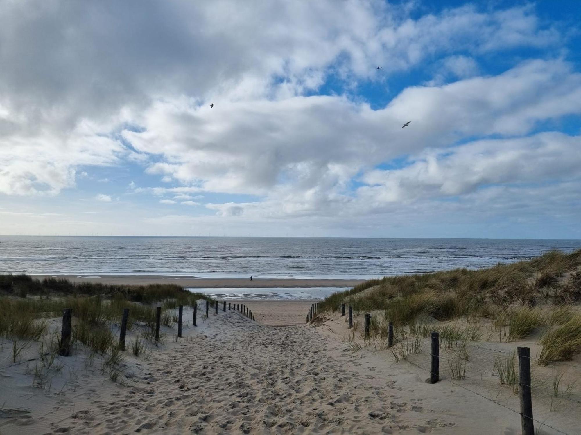 Rembrandts Beach View ザントフォールト エクステリア 写真