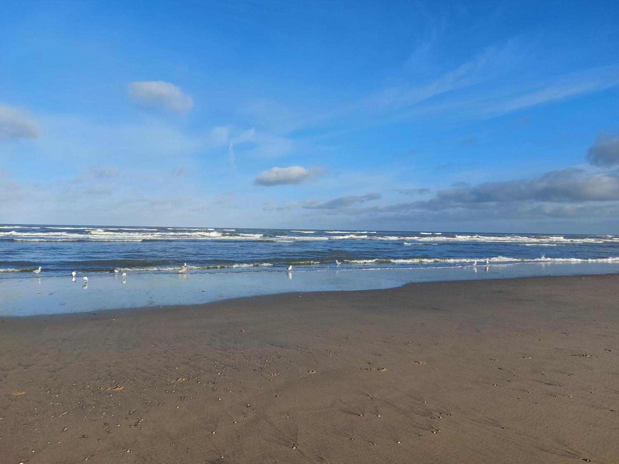 Rembrandts Beach View ザントフォールト 部屋 写真